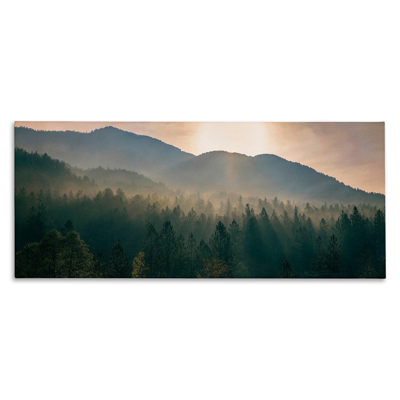 Stupell Industries Morning Sun over Misty Trees Canvas Wall Art